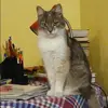 Отзыв от Серафима Воронкова